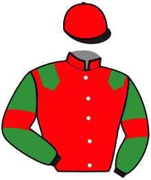 Casaque de MIGHTY DU DOME