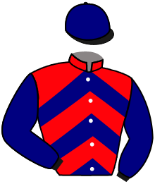 Casaque de QUEEN DE TEILLEE