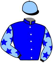 Casaque de MAGNIFIX DU MOULIN