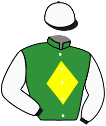 Casaque de MARVELOUS DRAGONES