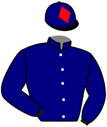 Casaque de THE MIGHTY CELT