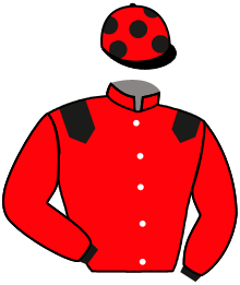 Casaque de BAI TU LONG