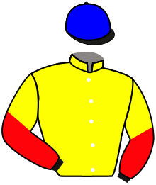 Casaque de HUNGER GAMES