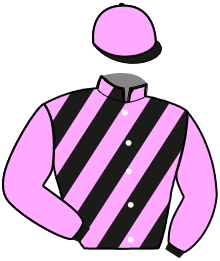 Casaque de MYRTILLE NOIRE