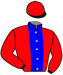 Casaque de LYS DE MARCAY