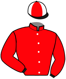 Casaque de JACKPOT D'AXEL