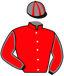 Casaque de HEROS DE BANVILLE