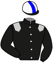 Casaque de GOODWIN ZET