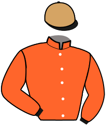 Casaque de MISS DISCO