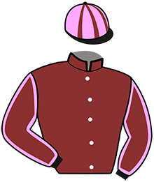 Casaque de MACAREUX DU TRIEUX