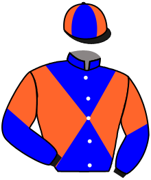 Casaque de CEROS GOLD