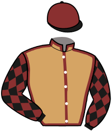 Casaque de VYSHYVANKA