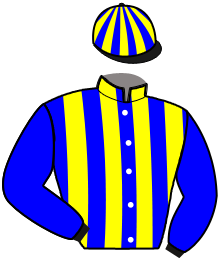 Casaque de HELMA DE BUSSET