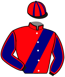 Casaque de MIAMI CITY