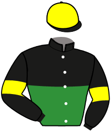 Casaque de MYSTIC LEGEND