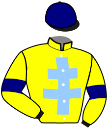 Casaque de INDIE FOR MONEY