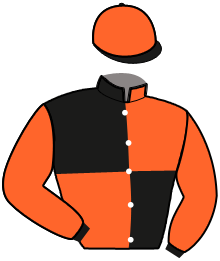 Casaque de HAMPTON DU VIVIER