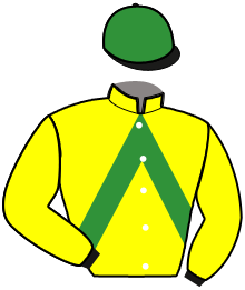 Casaque de INDY DE MUZE