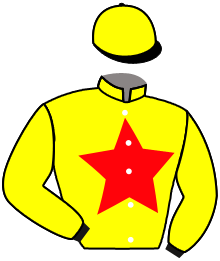 Casaque de HIGHFIELD MYSTERY