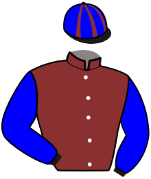 Casaque de MAMBO DRY