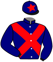 Casaque de ICONIC STARS