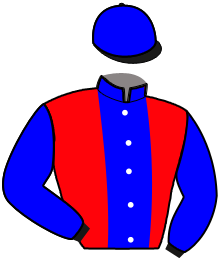 Casaque de IBRA DU THENNEY