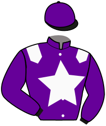 Casaque de LOOPING DAY