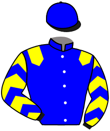 Casaque de WELL DESTINY