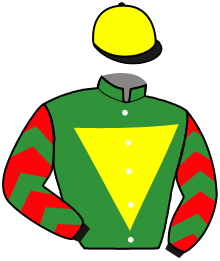 Casaque de LIGHTED GLORY