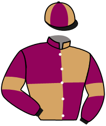 Casaque de YELLOW LION