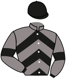 Casaque de MAKING WAVES