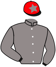 Casaque de JUST FOR WIN