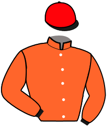 Casaque de MARSTON VICTORY