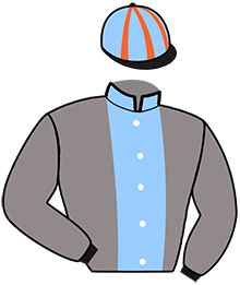 Casaque de LINNA DE VANDEL