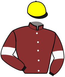 Casaque de JOUEUR DU LUPIN