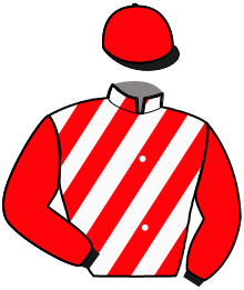 Casaque de KRISTO STAR