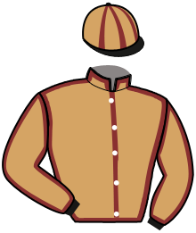 Casaque de LOS ANGELES LAKERS