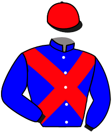 Casaque de GUNS AND FLOWERS