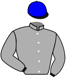 Casaque de SYNERGETIC