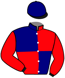 Casaque de GIN FIZZ PAULO