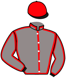 Casaque de MAJESTIKA