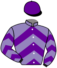 Casaque de TEAM BREIZH