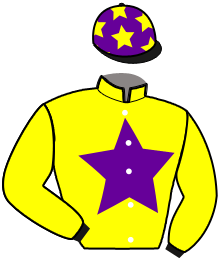 Casaque de L'INFO DU STADE