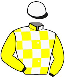 Casaque de LEAD DU VIVIER