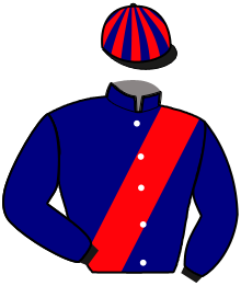 Casaque de MILTON DU NOYER