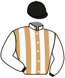 Casaque de SPRINGBOKS