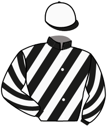 Casaque de GALEO DU TORDOIR