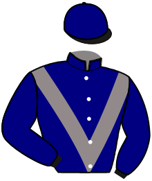 Casaque de BORUPS VICTORY