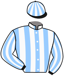 Casaque de FEE DU VIVIEN