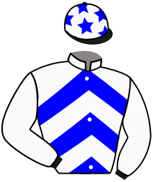 Casaque de JUDICIOUS GAME